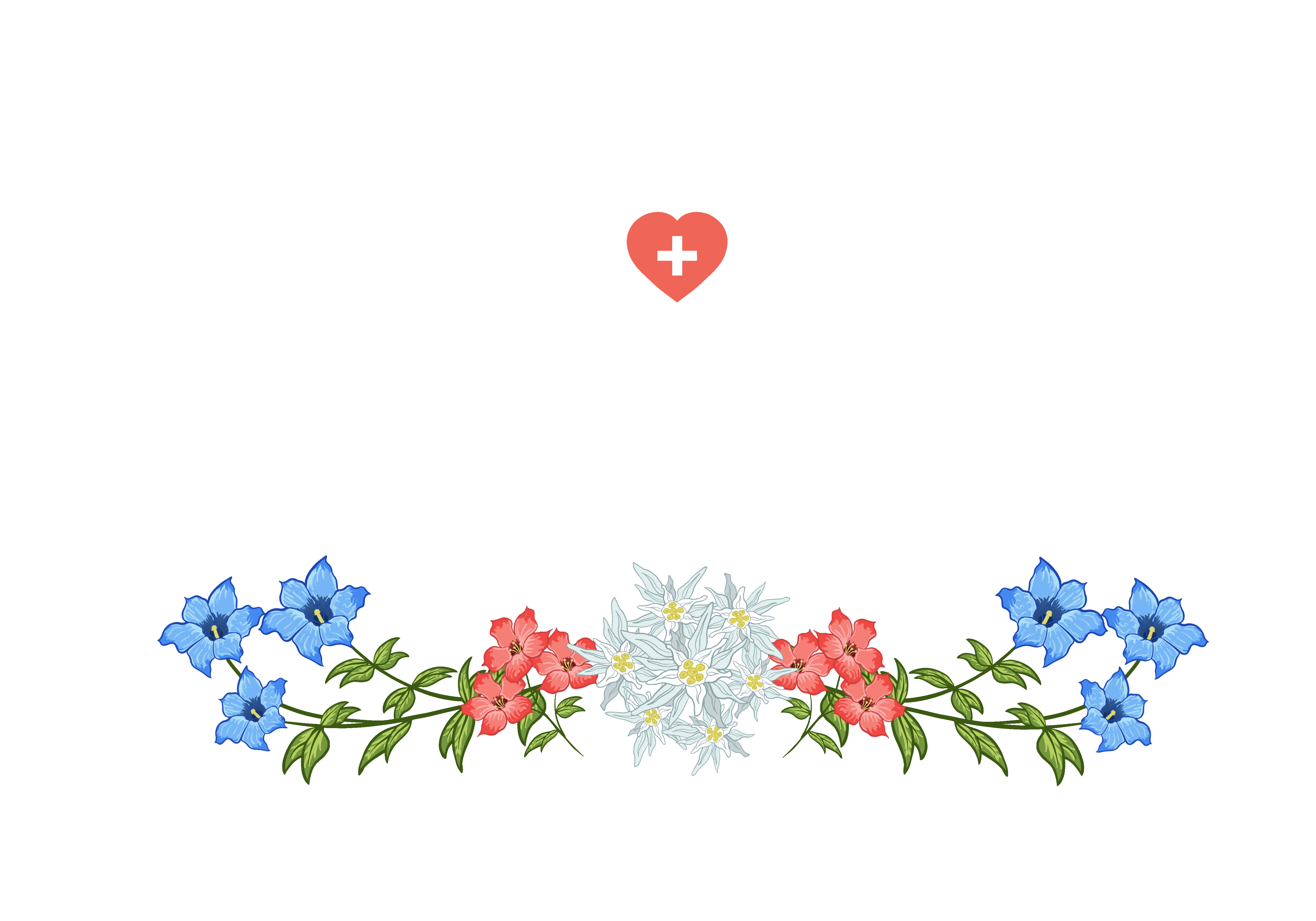 Projekt Ansicht